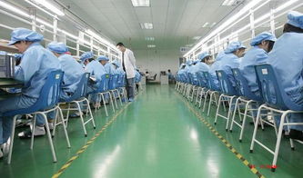 深圳龙之净 匠心铸就高品质监控摄像机，守护智联新时代